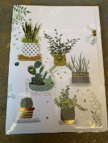 Blank Greetings Card Potplant design